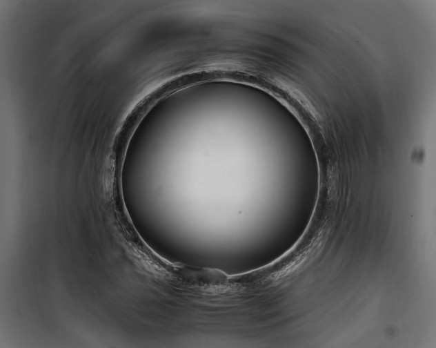 X0000100861021200806201212