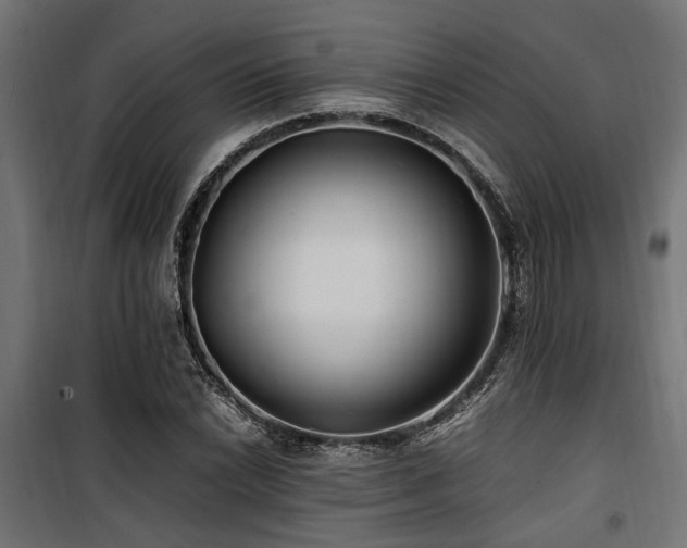 X0000100861022200806201212