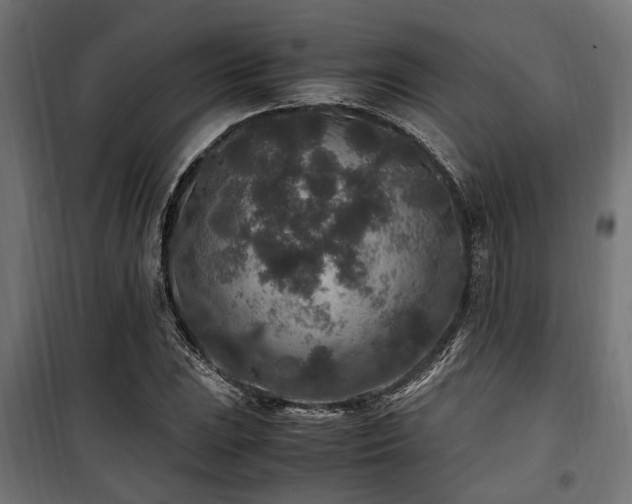 X0000100861023200806201212