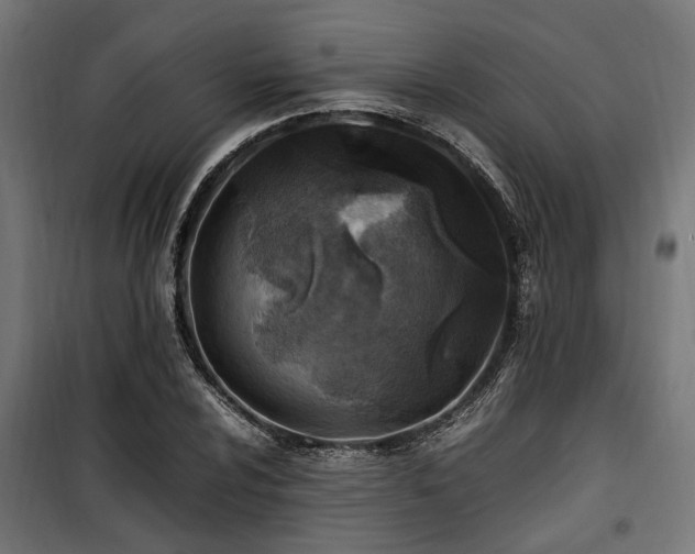 X0000100861024200806201212