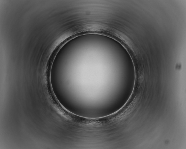 X0000100861026200806201212