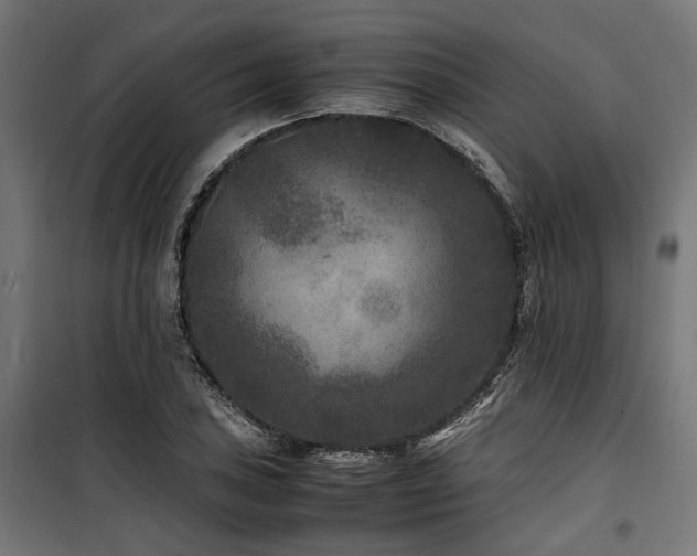 X0000100861027200806201212