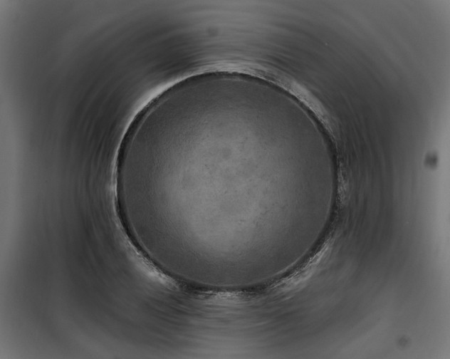 X0000100861028200806201212