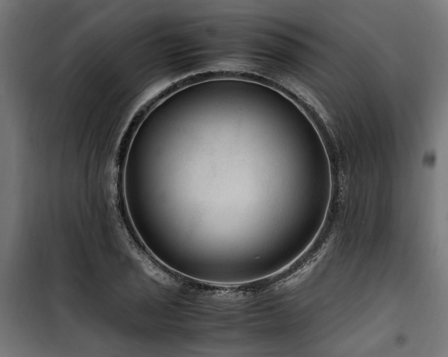 X0000100861029200806201212