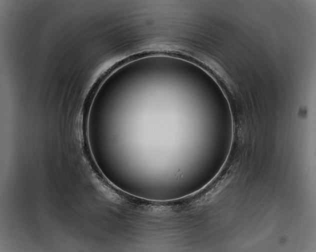 X0000100861030200806201212