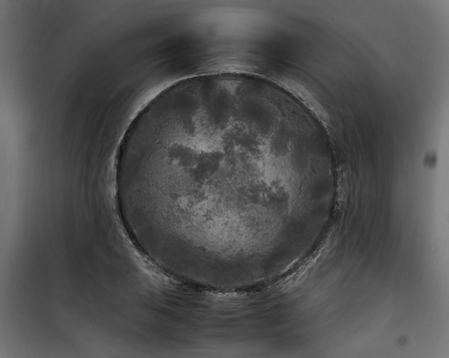 X0000100861031200806201212