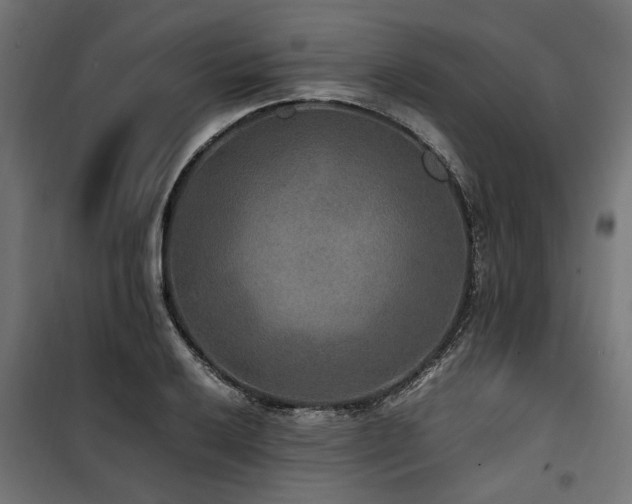 X0000100861032200806201212