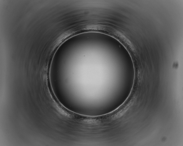 X0000100861033200806201212