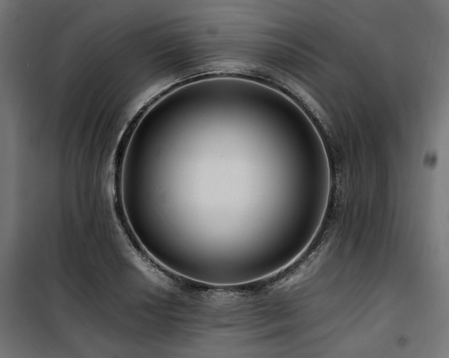 X0000100861034200806201212