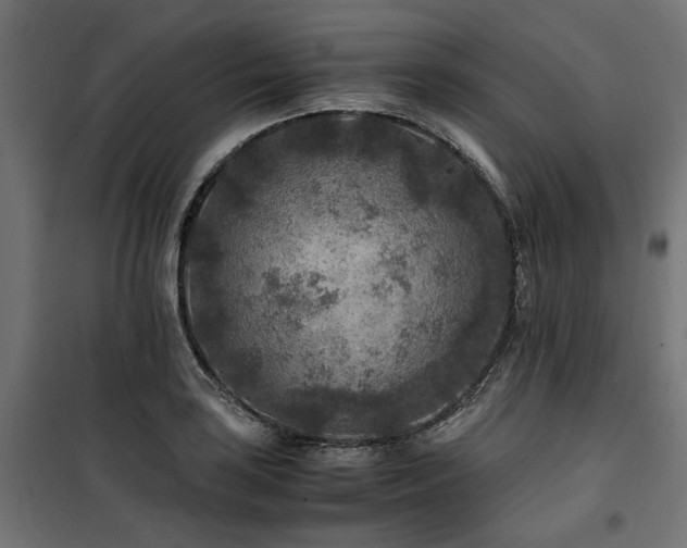 X0000100861035200806201212