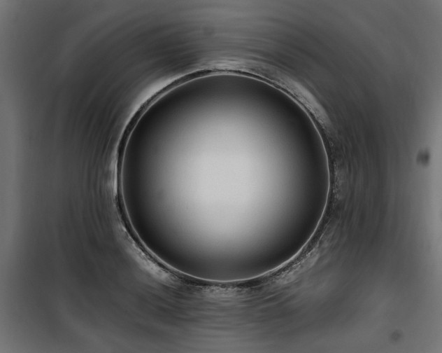 X0000100861036200806201212