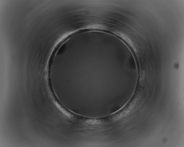 X0000100861037200806201212