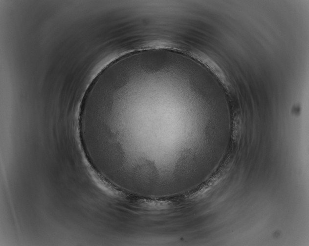 X0000100861039200806201212