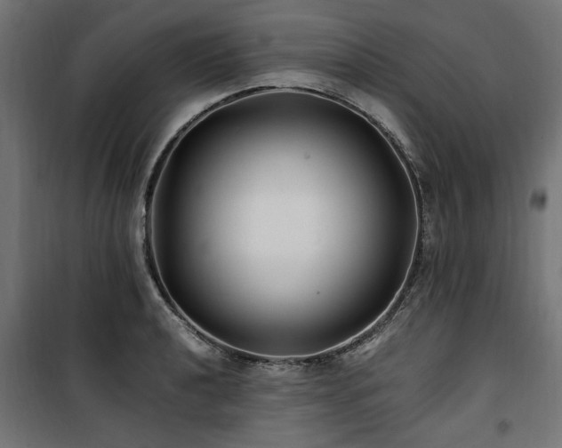 X0000100861040200806201212