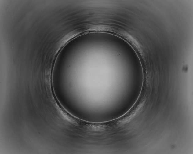 X0000100861041200806201212