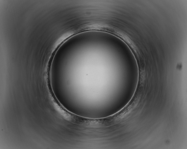 X0000100861042200806201212