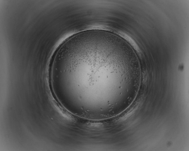 X0000100861043200806201212