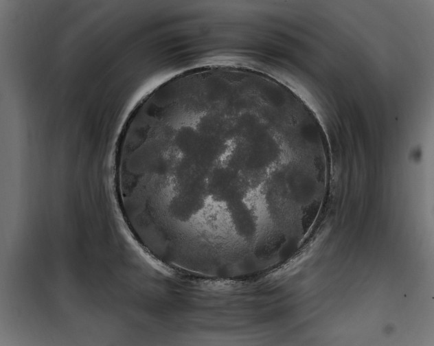 X0000100861045200806201212