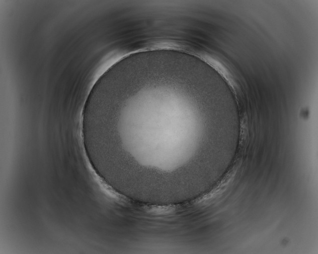 X0000100861047200806201212