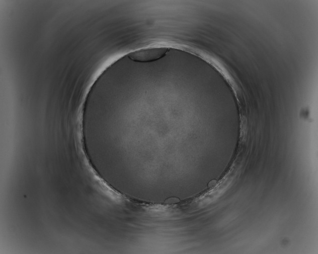 X0000100861048200806201212