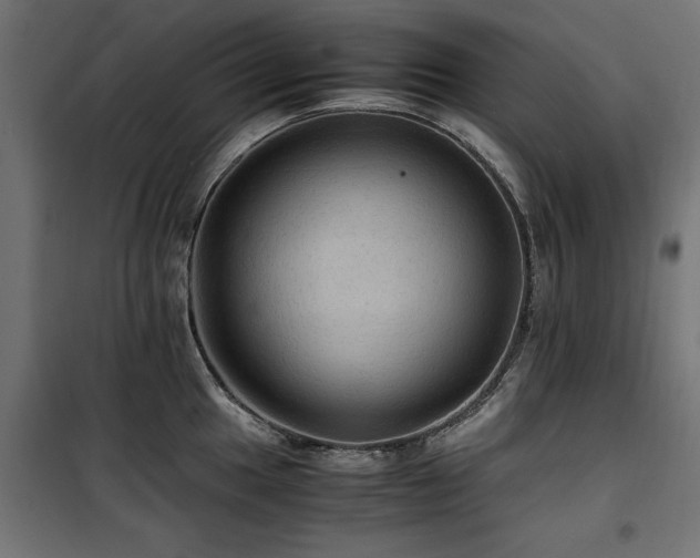 X0000100861049200806201212