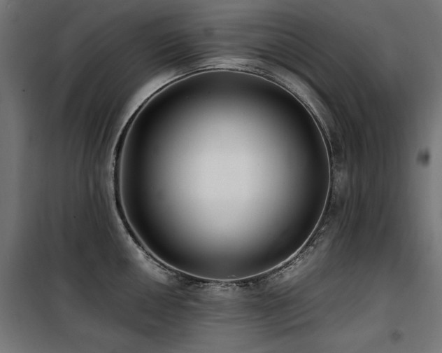 X0000100861050200806201212