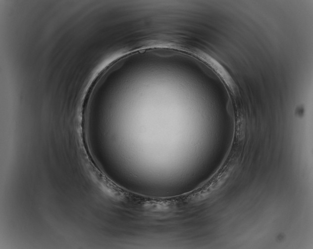 X0000100861051200806201212