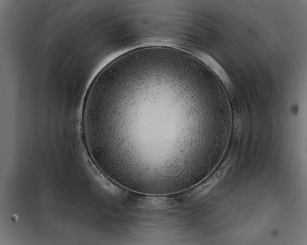 X0000100861052200806201212