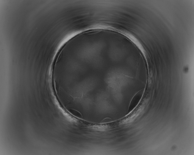 X0000100861053200806201212