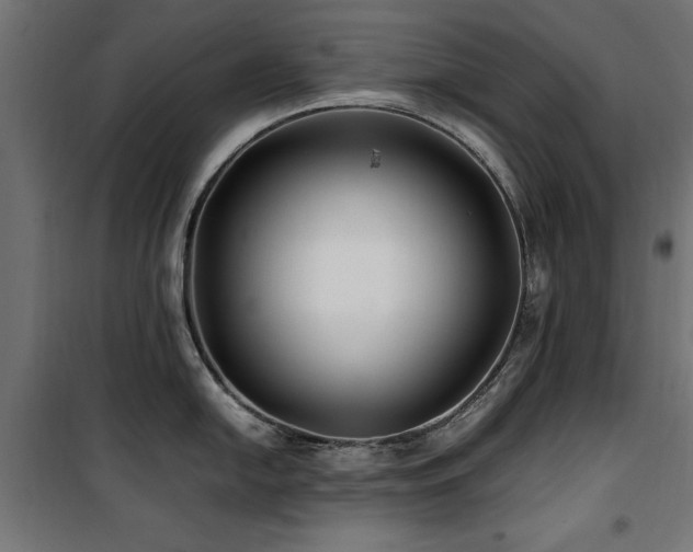 X0000100861054200806201212