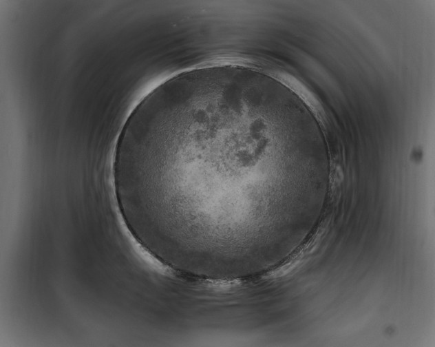 X0000100861055200806201212