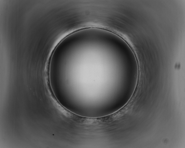 X0000100861056200806201212