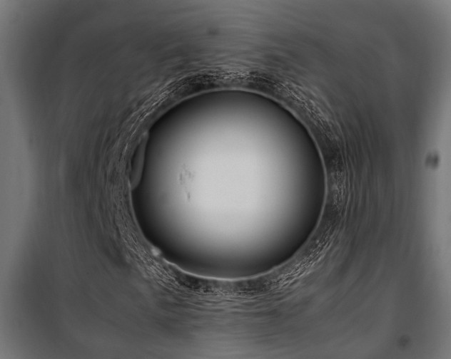 X0000100861057200806201211