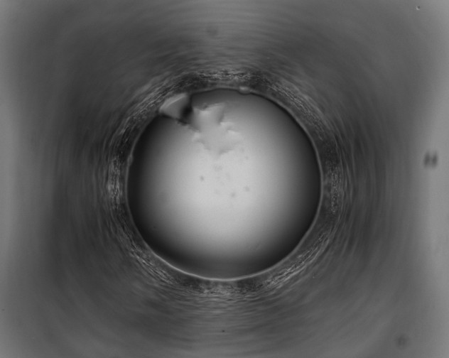 X0000100861058200806201211