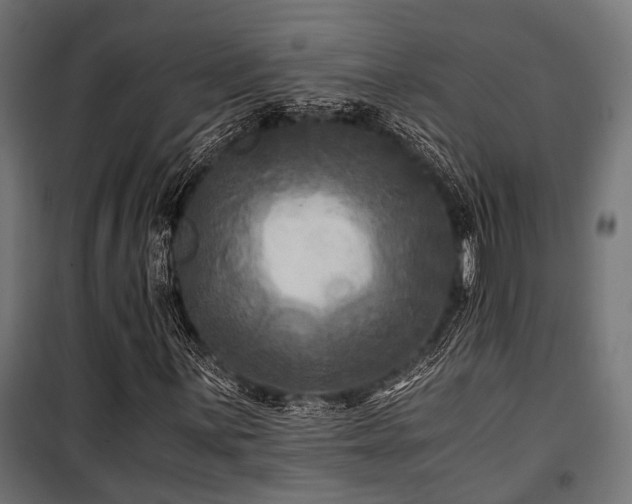 X0000100861059200806201211