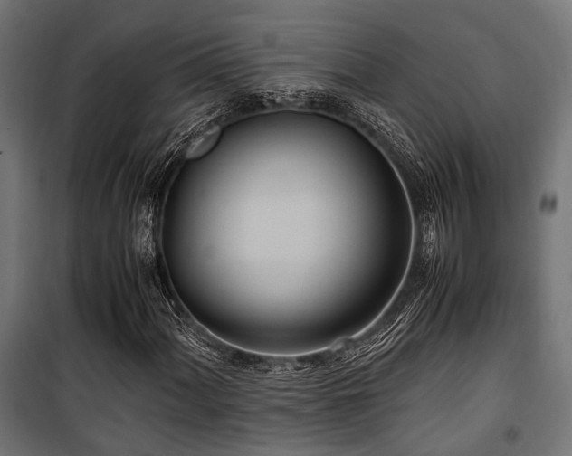 X0000100861060200806201211