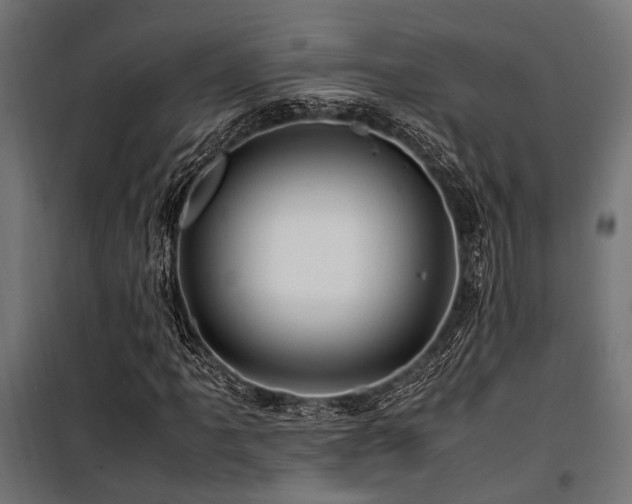 X0000100861061200806201211