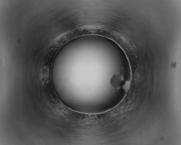 X0000100861062200806201211