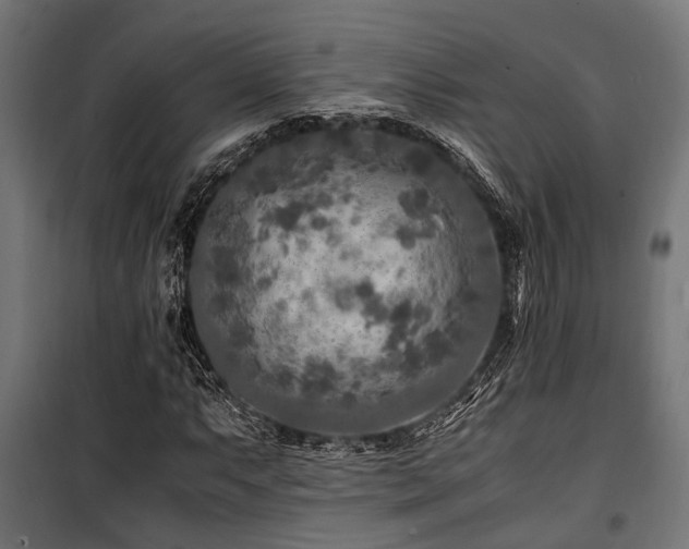 X0000100861063200806201211