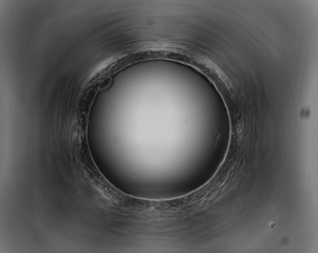 X0000100861064200806201211