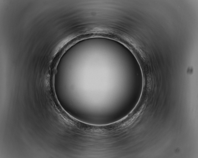 X0000100861066200806201211