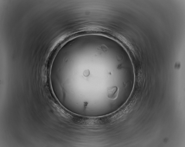 X0000100861067200806201211