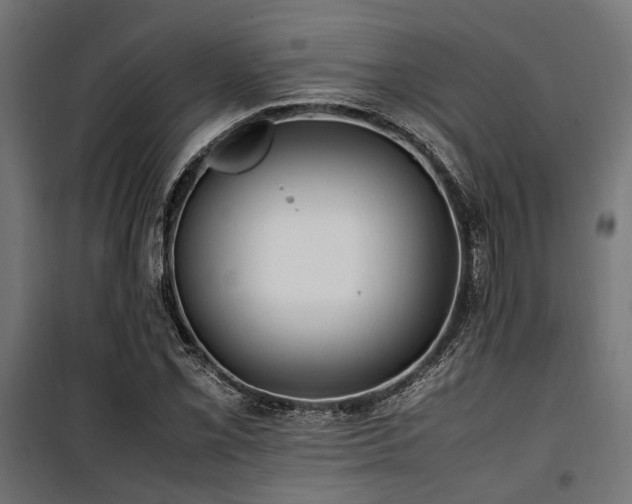 X0000100861069200806201211