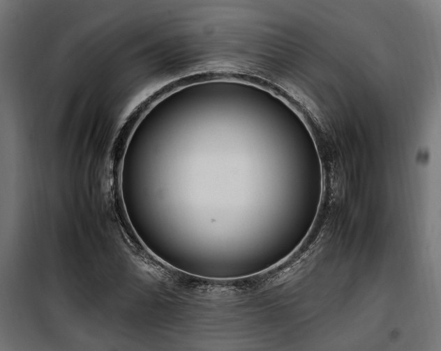 X0000100861070200806201211