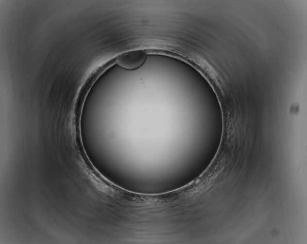 X0000100861072200806201211