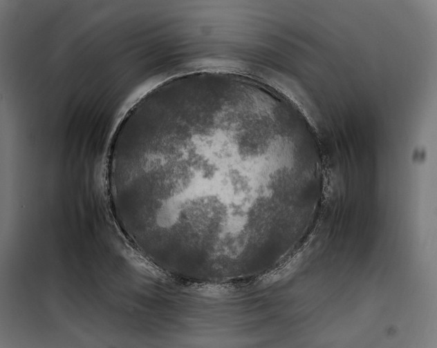 X0000100861074200806201211