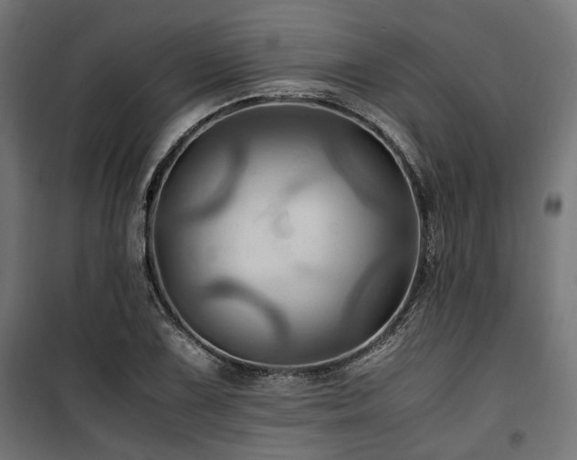 X0000100861075200806201211