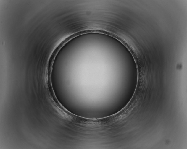 X0000100861076200806201211