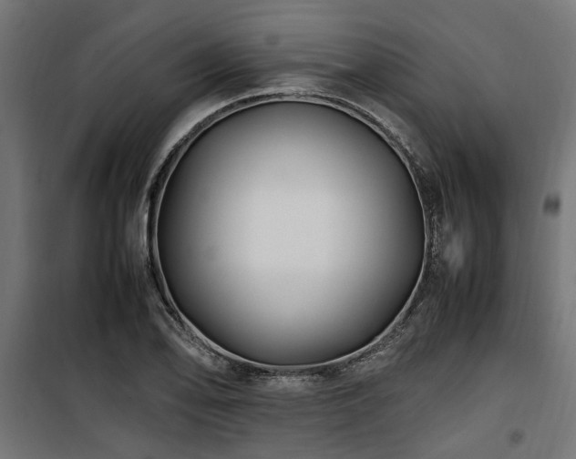 X0000100861078200806201211