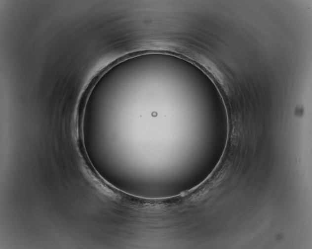 X0000100861080200806201211